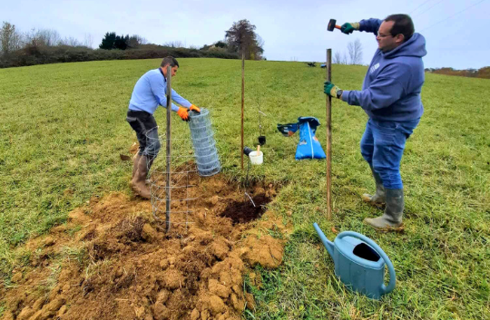 Photo Plantation de haie